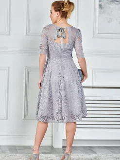 Fit & Flare Sleeved Lace Midi Dress, Silver Grey