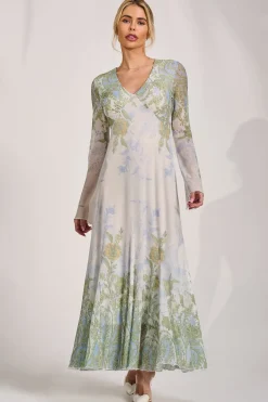 Long Sleeve Godet Mesh Maxi Dress, Green Multi