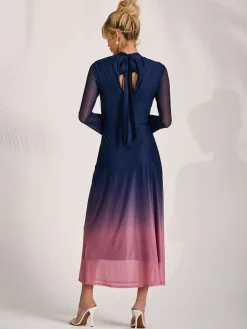 Long Sleeve High Neck Mesh Dress, Pink Multi