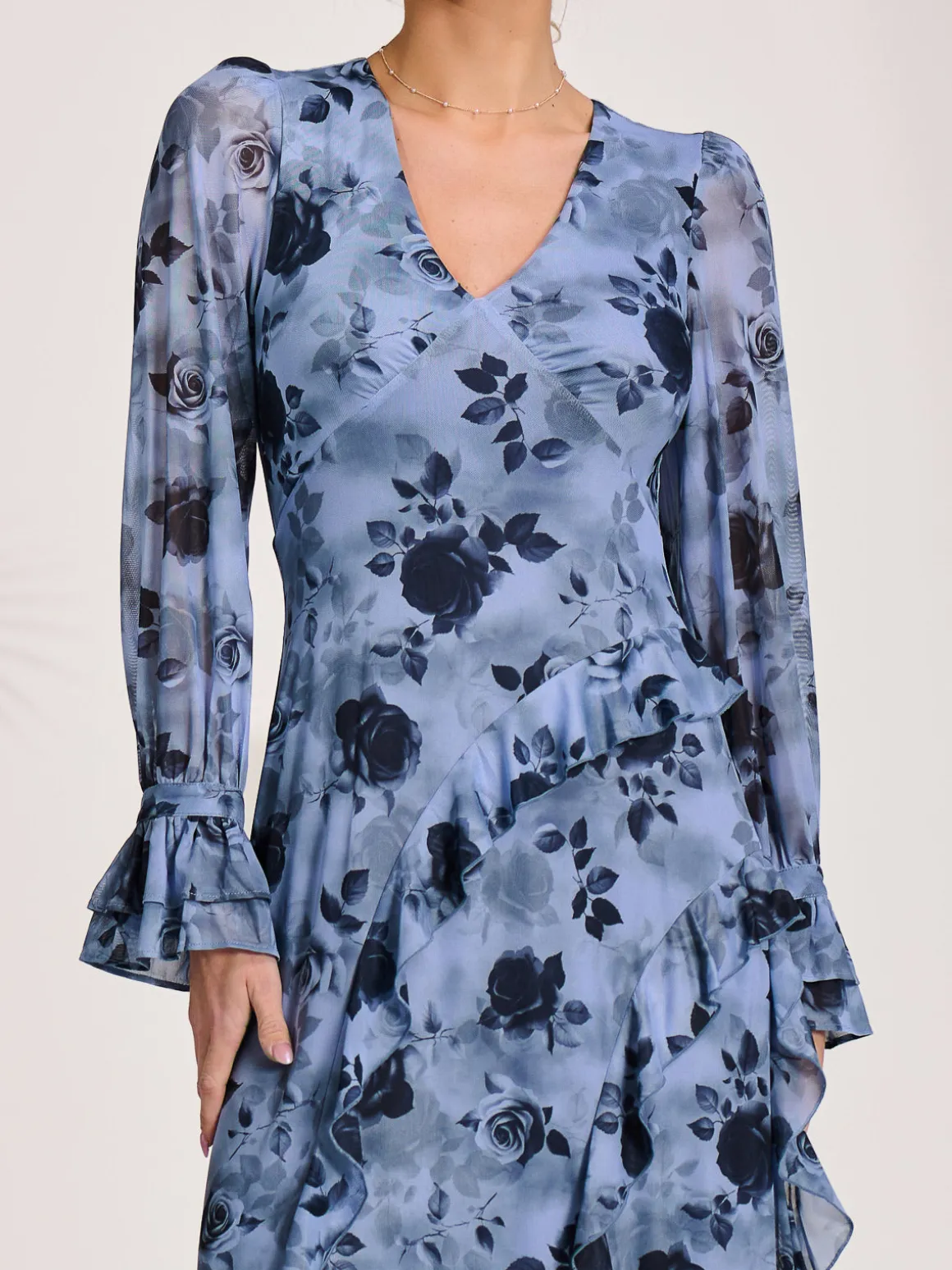 Long Sleeve Ruffle Mesh Maxi Dress, Blue Floral