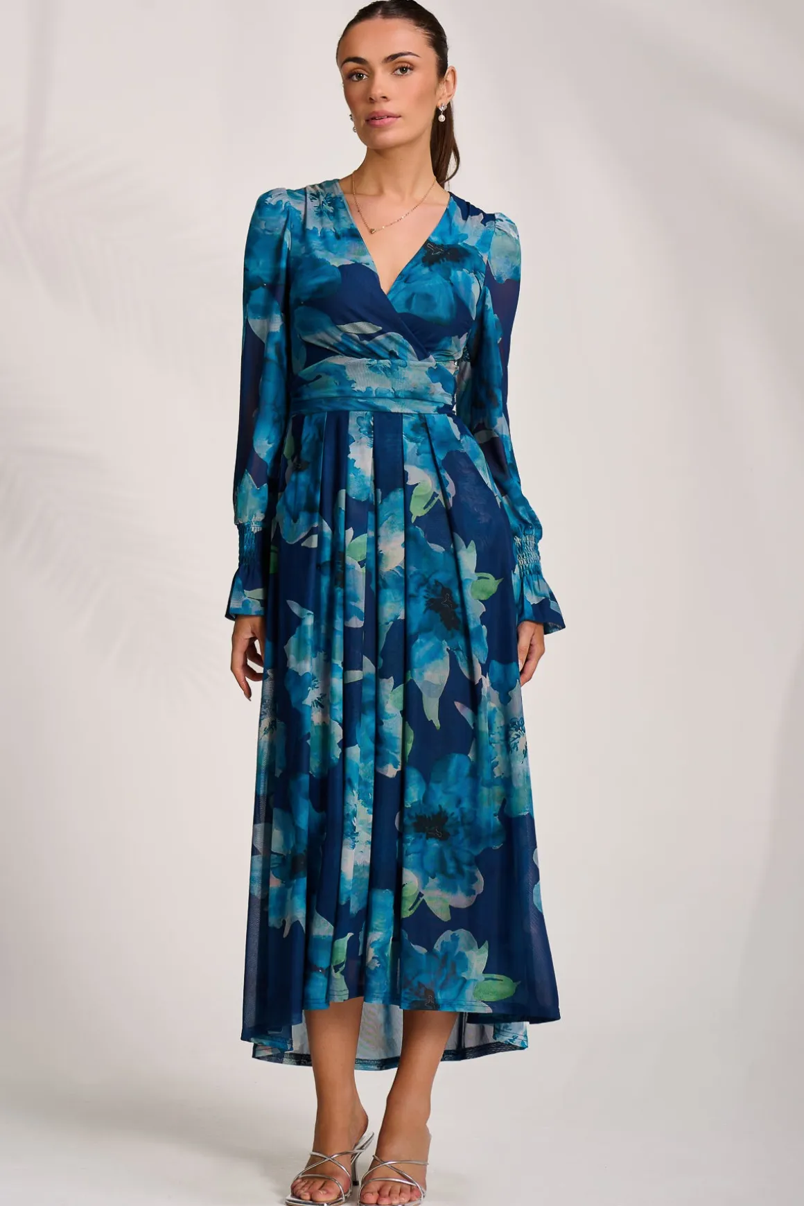 Long Sleeve V Neck Mesh Maxi Dress, Blue Floral