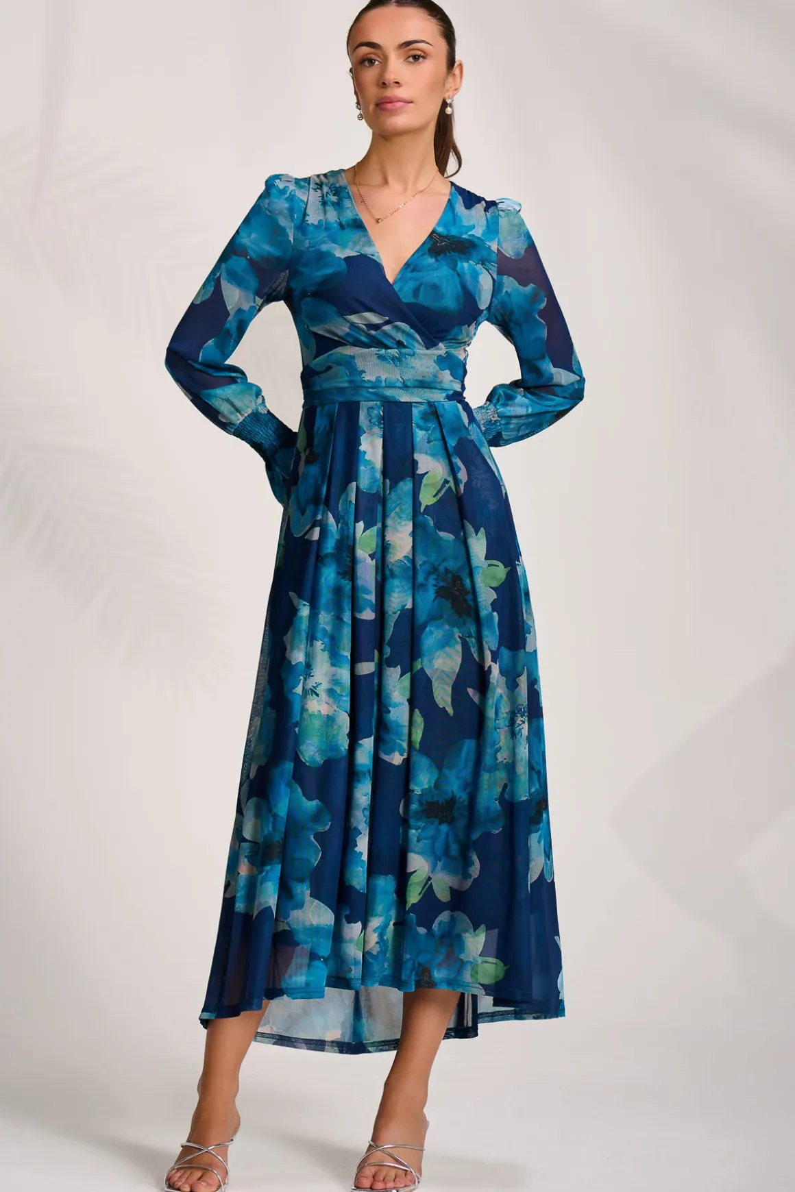 Long Sleeve V Neck Mesh Maxi Dress, Blue Floral