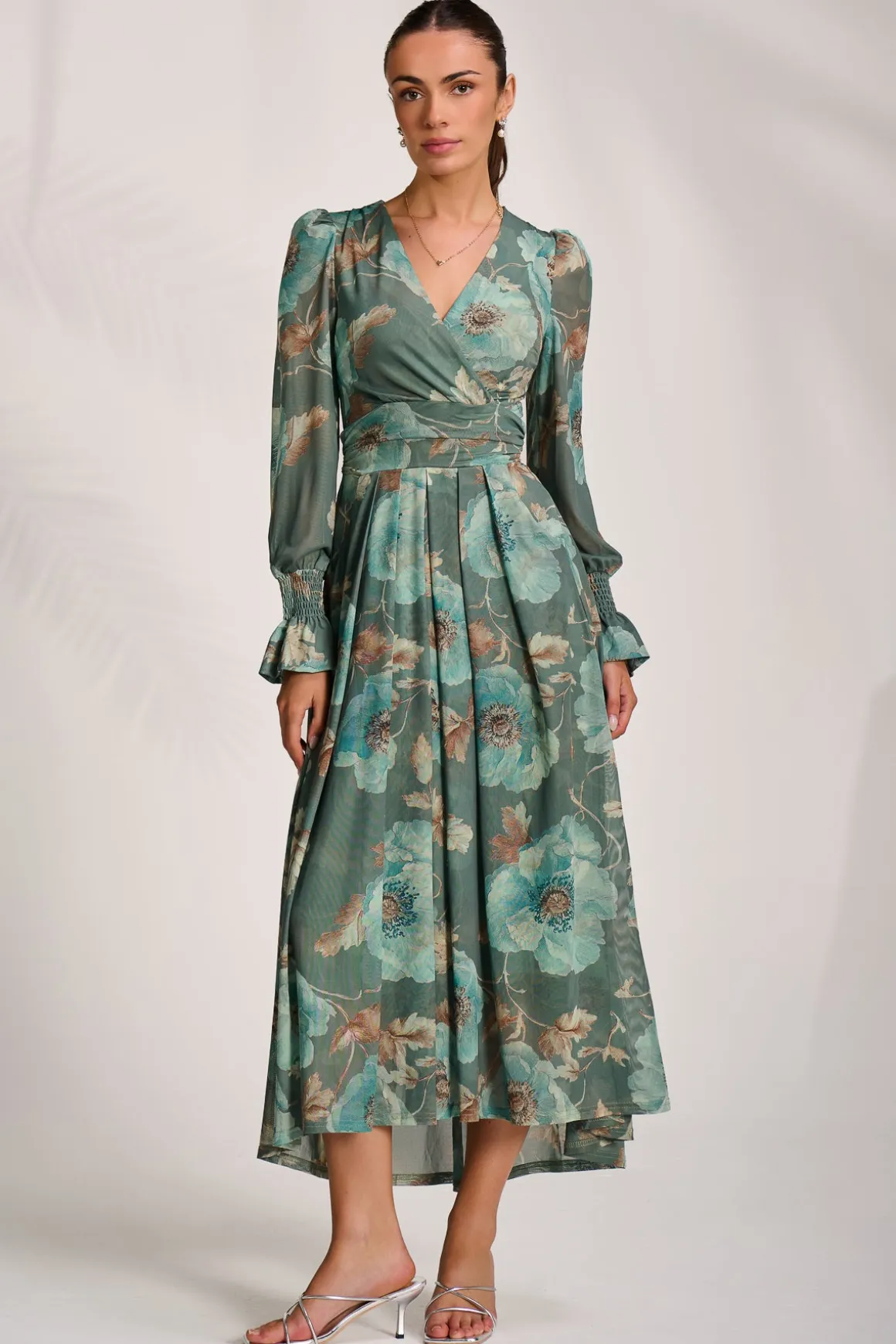 Long Sleeve V Neck Mesh Maxi Dress, Green Floral