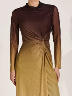 Petite Long Sleeve Mesh Maxi Dress, Brown Multi