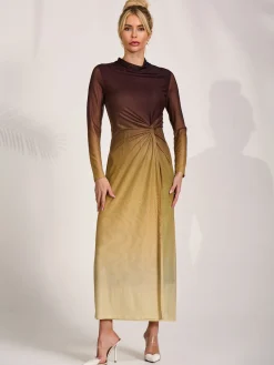 Petite Long Sleeve Mesh Maxi Dress, Brown Multi