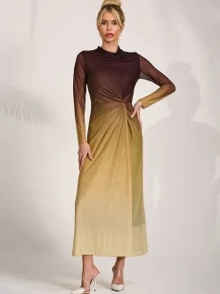 Petite Long Sleeve Mesh Maxi Dress, Brown Multi
