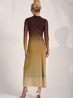 Petite Long Sleeve Mesh Maxi Dress, Brown Multi