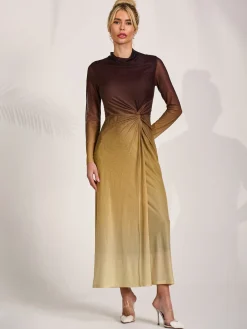 Petite Long Sleeve Mesh Maxi Dress, Brown Multi