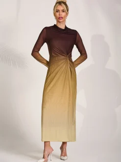 Petite Long Sleeve Mesh Maxi Dress, Brown Multi
