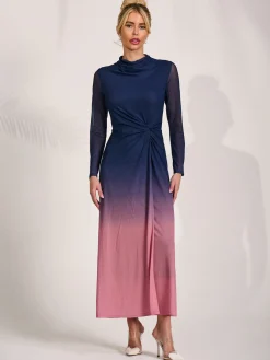 Petite Long Sleeve Mesh Maxi Dress, Pink Multi