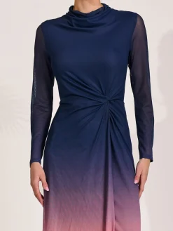 Petite Long Sleeve Mesh Maxi Dress, Pink Multi