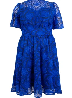 Plus Size Flare Sleeve Belted Lace Dress, Royal Blue