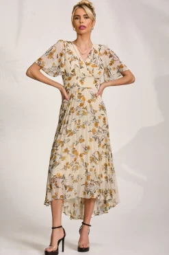 Printed Chiffon Pleated Maxi Dress, Amber Floral
