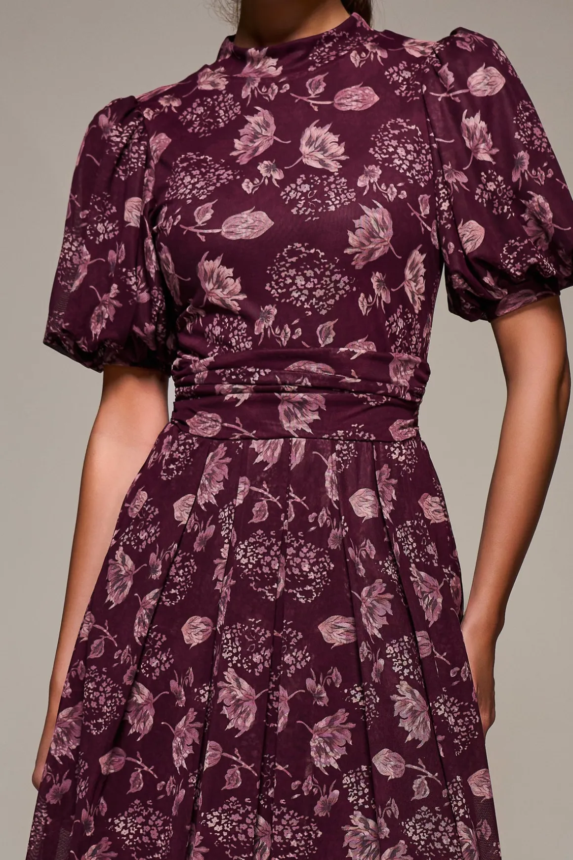 Puffy Sleeve Printed Mesh Maxi Dress, Burgundy Floral