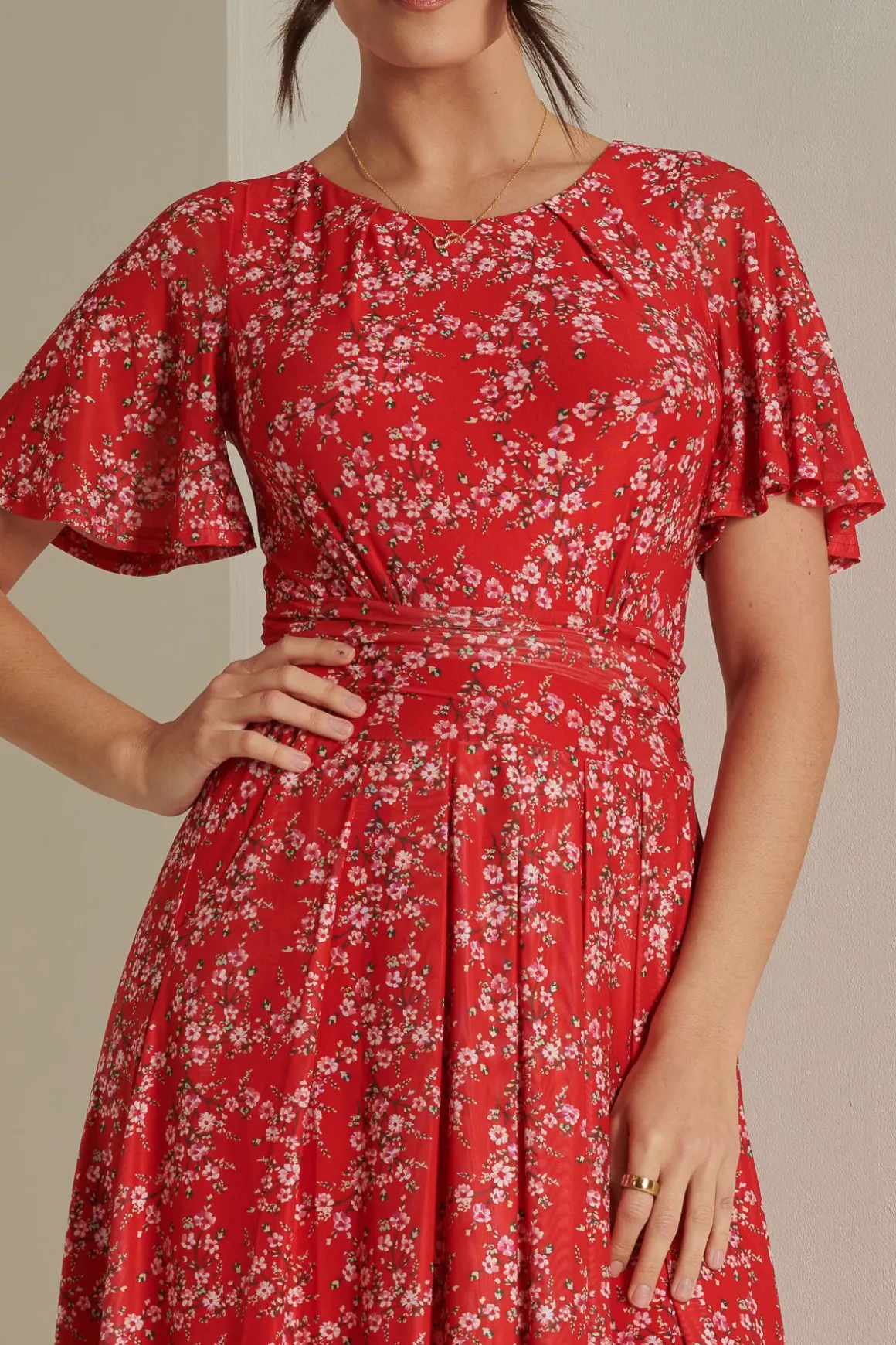 Rexina Maxi Mesh Dress, Red Floral