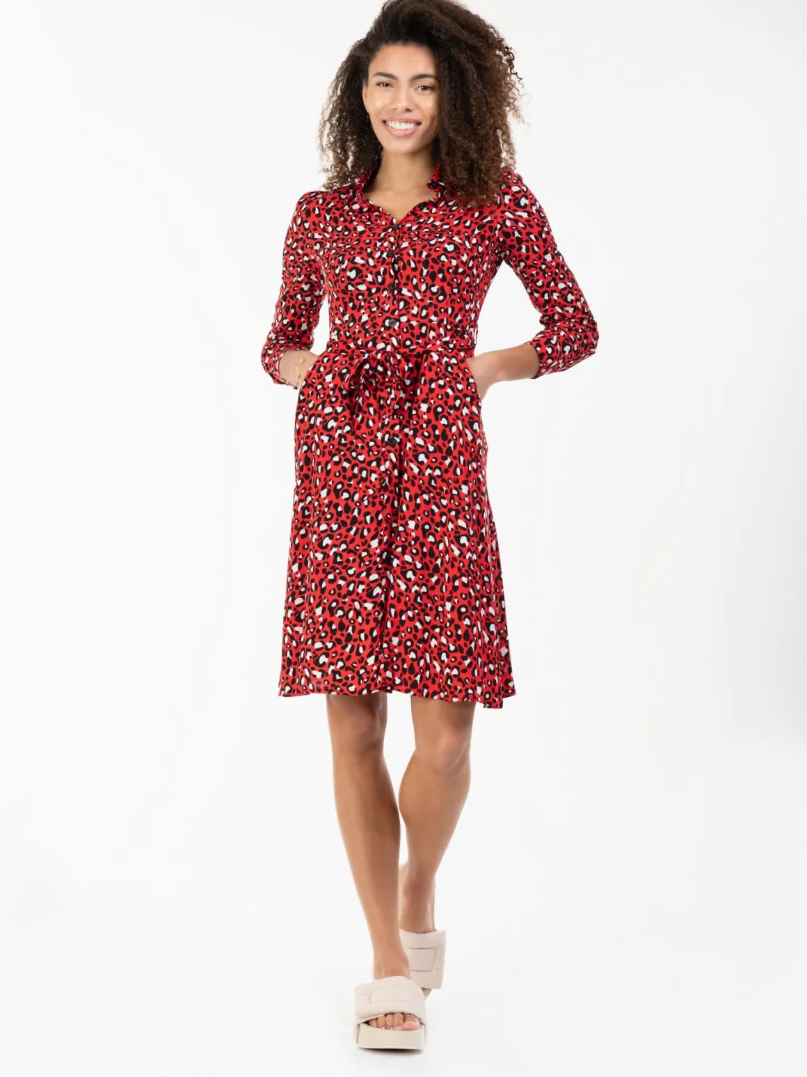 Susan Fit & Flare Shirt Dress , Red Animal