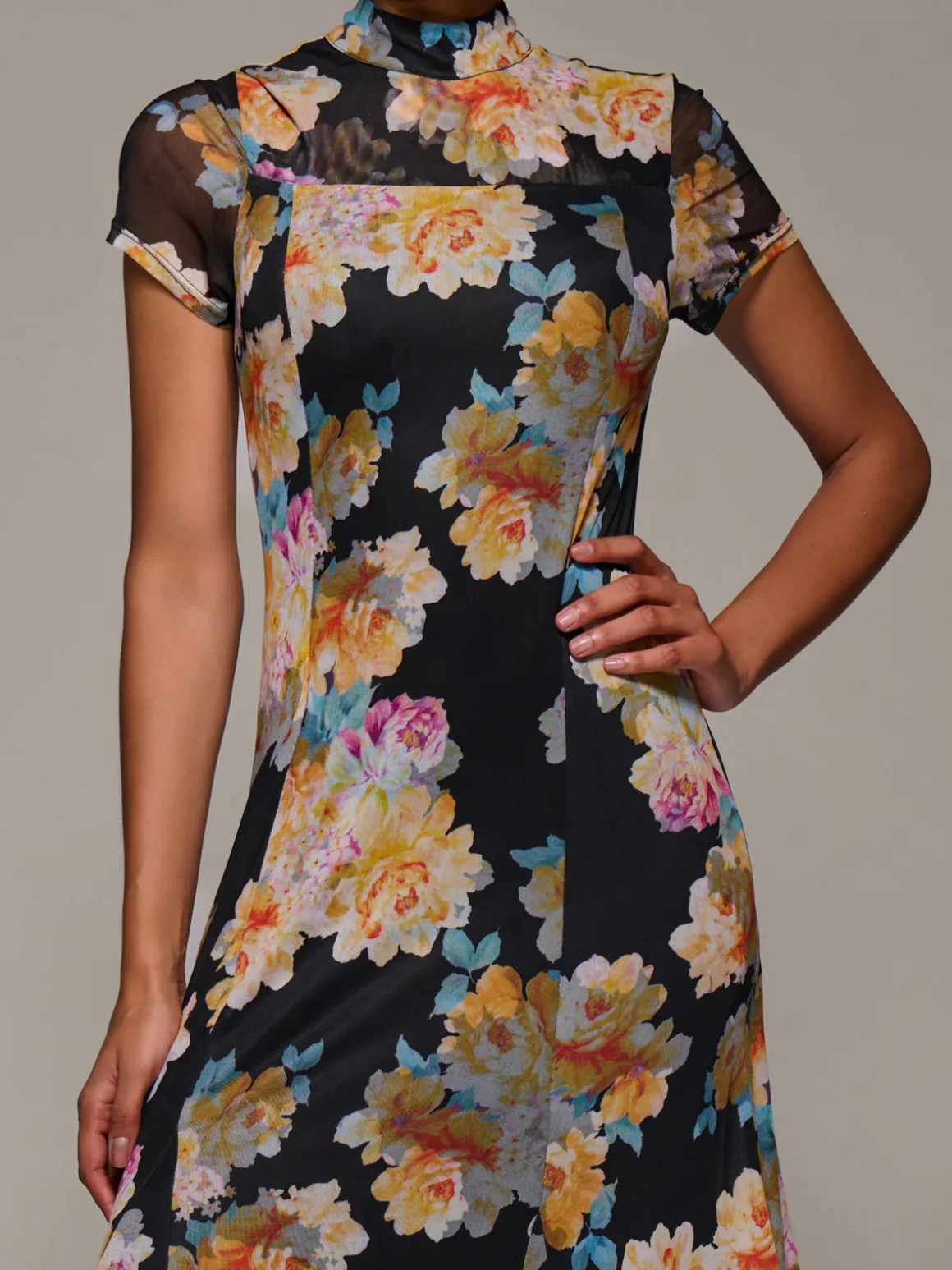 Turtle Neckline Mesh Maxi Dress, Yellow Floral